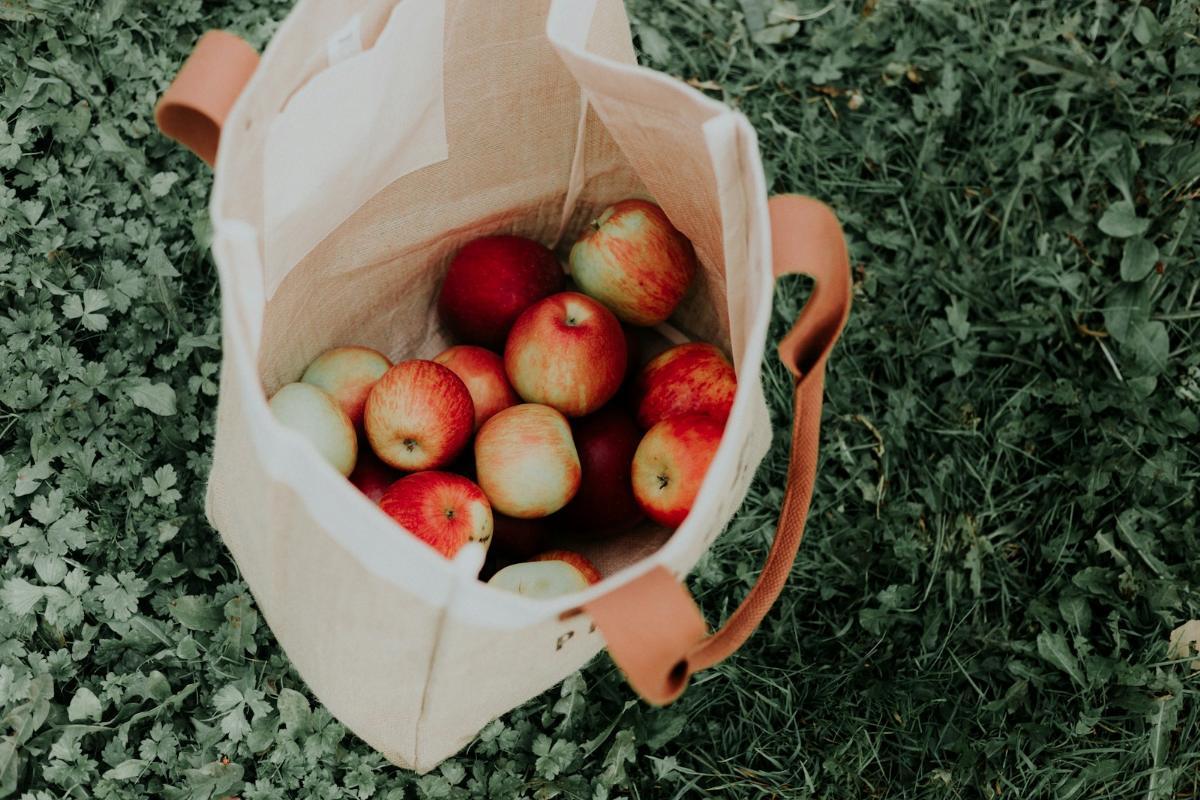 Dá um impulso ecológico ao teu marketplace: parcerias com iniciativas de sustentabilidade para ter sucesso