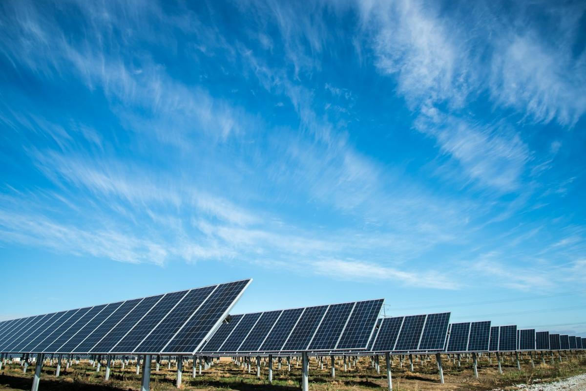 Thriving Sustainably: How Green Practices Propel Marketplace Growth