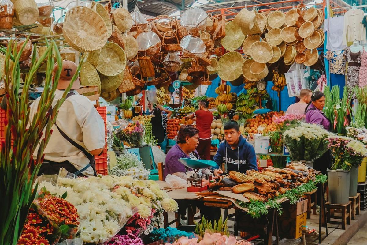 Global Marketplaces on the Rise: Exploring Emerging Platforms Worldwide