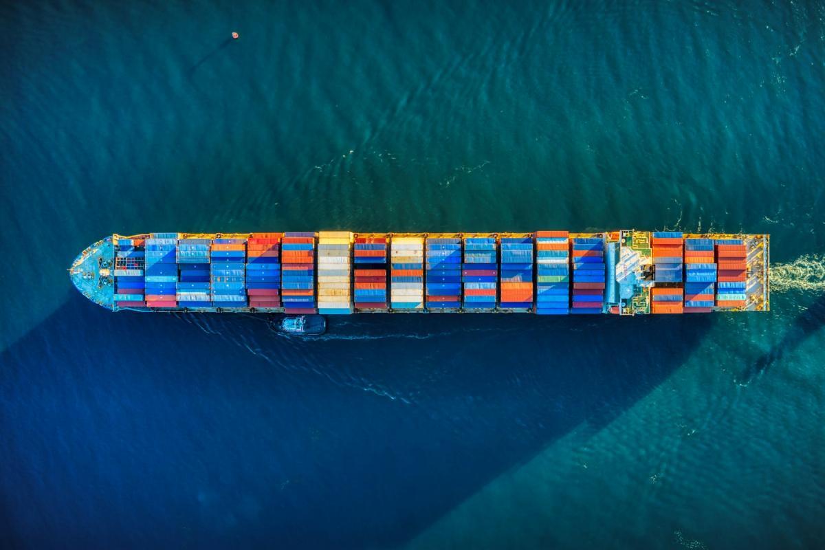 Conquering New Frontiers: The Rise and Triumph of B2B Marketplaces