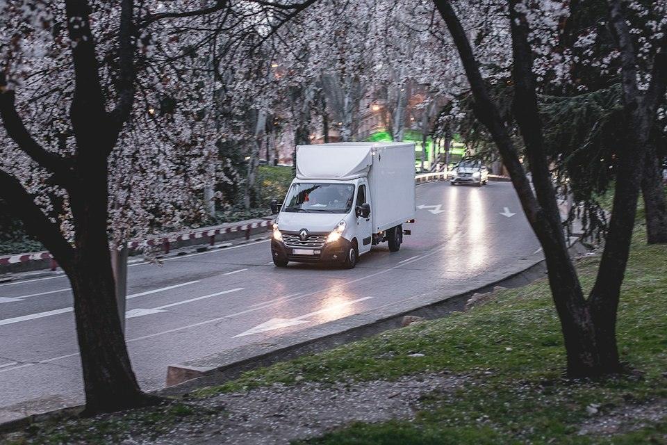White van on road near trees during daytime