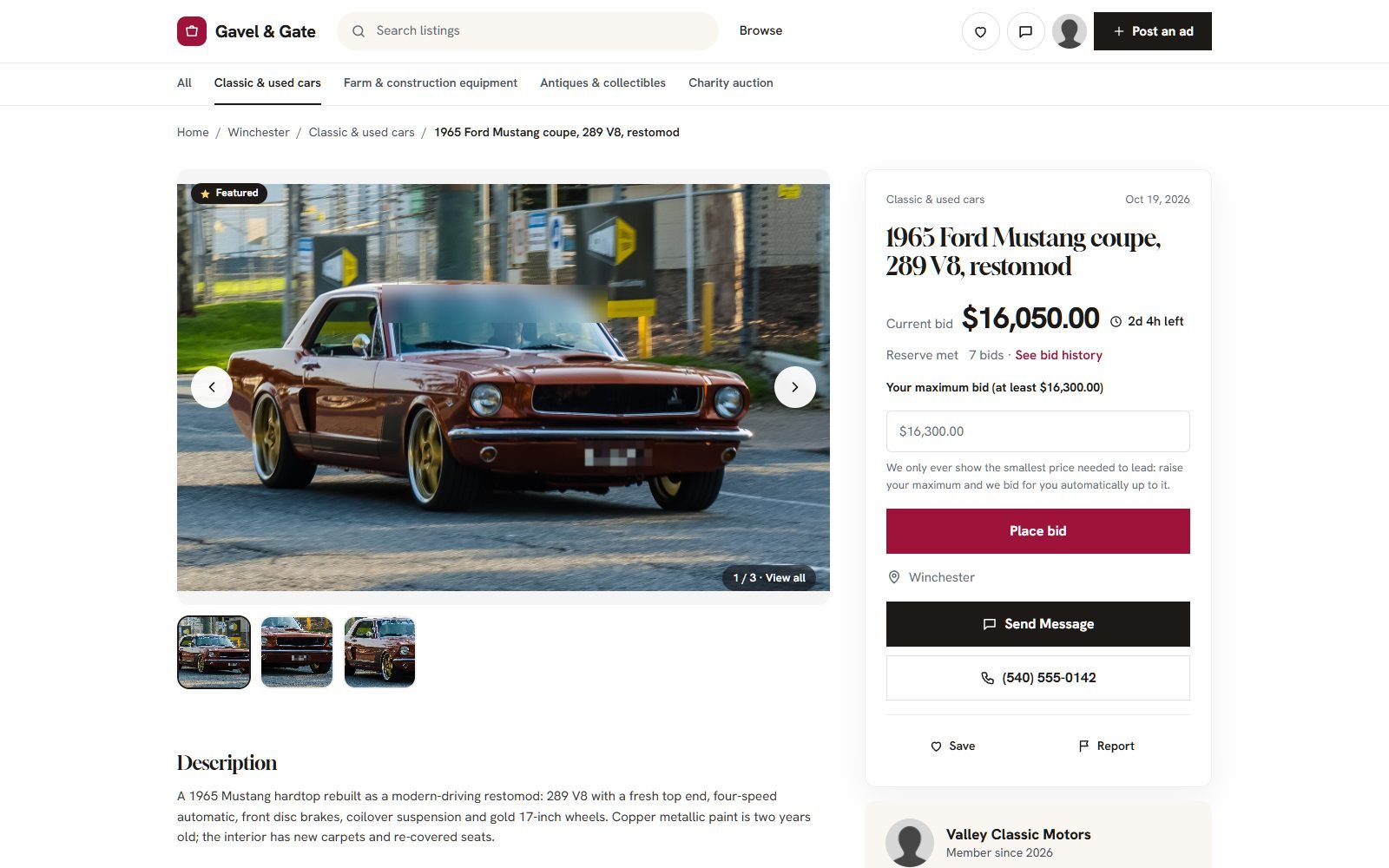 A timed online auction with bids and time left