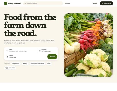 The Harvest look