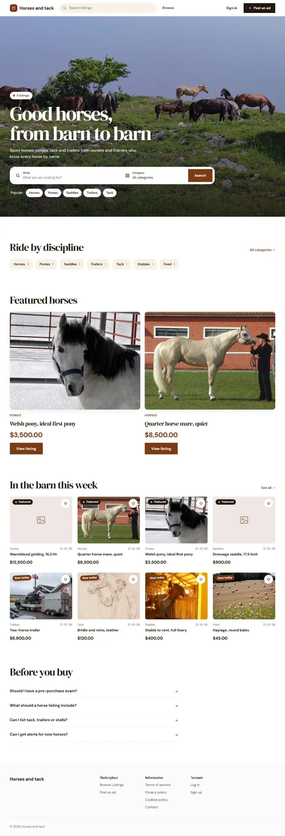The Equine template, home page filled in with sample listings